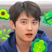 kyungsoo.png